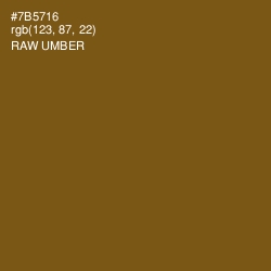 #7B5716 - Raw Umber Color Image
